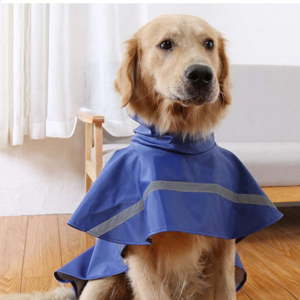 Capa de Lluvia para Mascotas