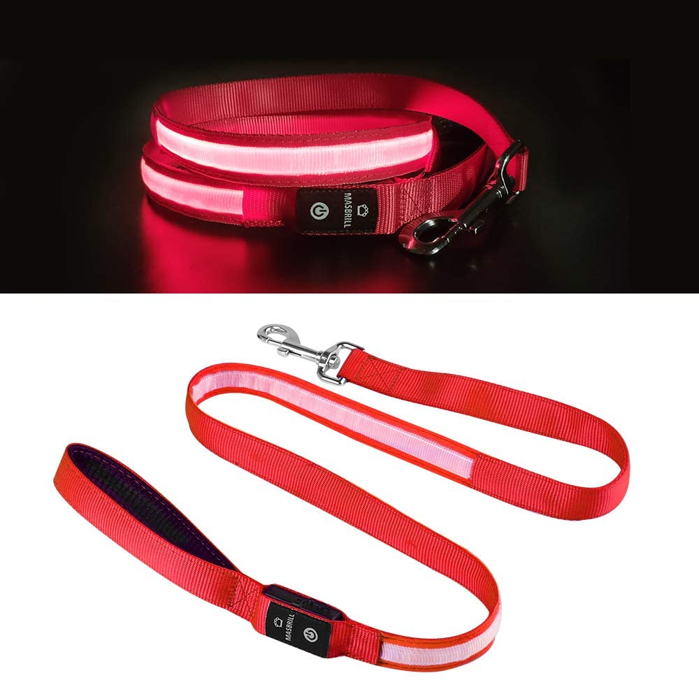 Correas con Luz LED