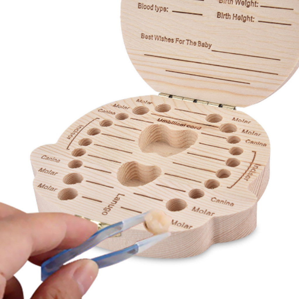 Caja Organizadora de Dientes Leche