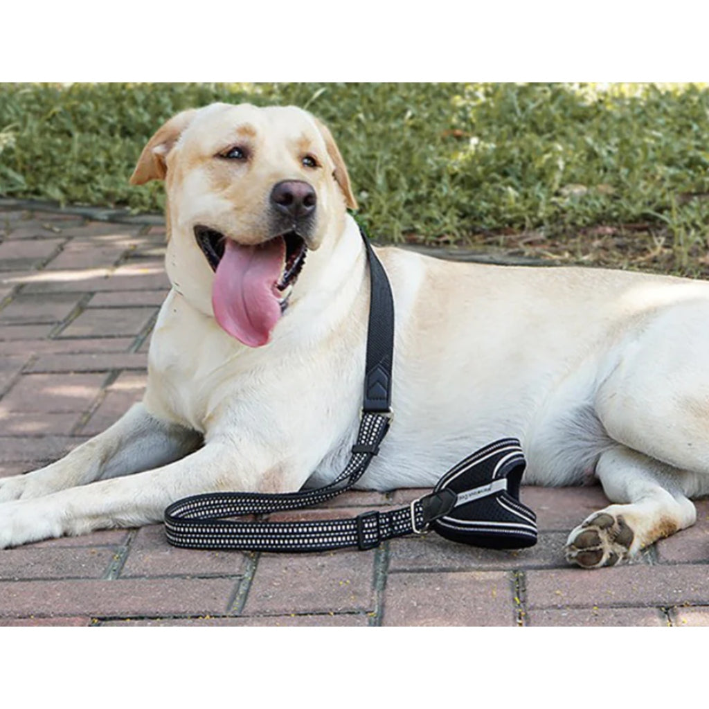 Correa para Perro Ajustable de Mano