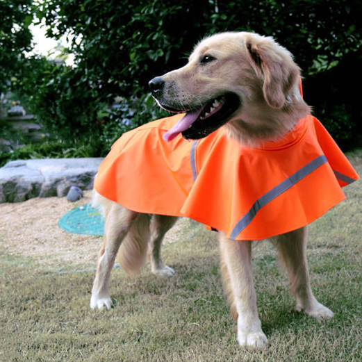 Capa de Lluvia para Mascotas