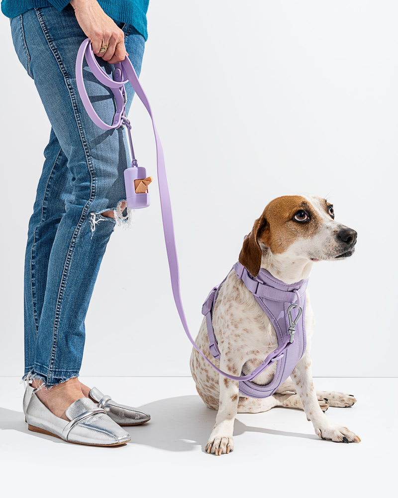 Set de Arnés Transpirable para Perros, Azul 3 Piezas