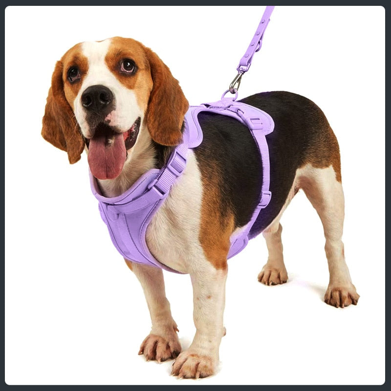 Set de Arnés Transpirable para Perros, Morado 3 Piezas