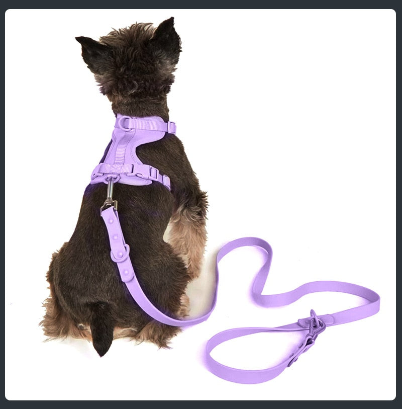 Set de Arnés Transpirable para Perros, Azul 3 Piezas