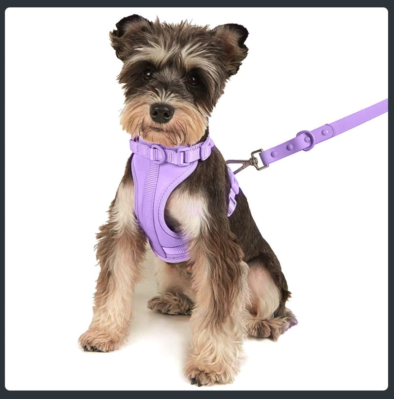 Set de Arnés Transpirable para Perros, Morado 3 Piezas