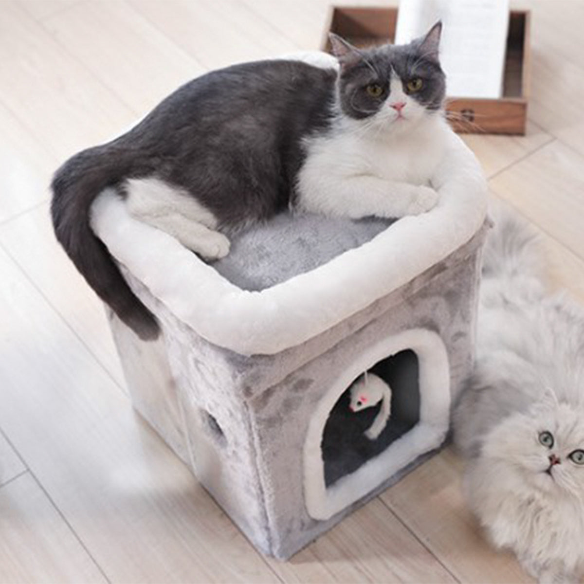 Casa / Cama para gatos