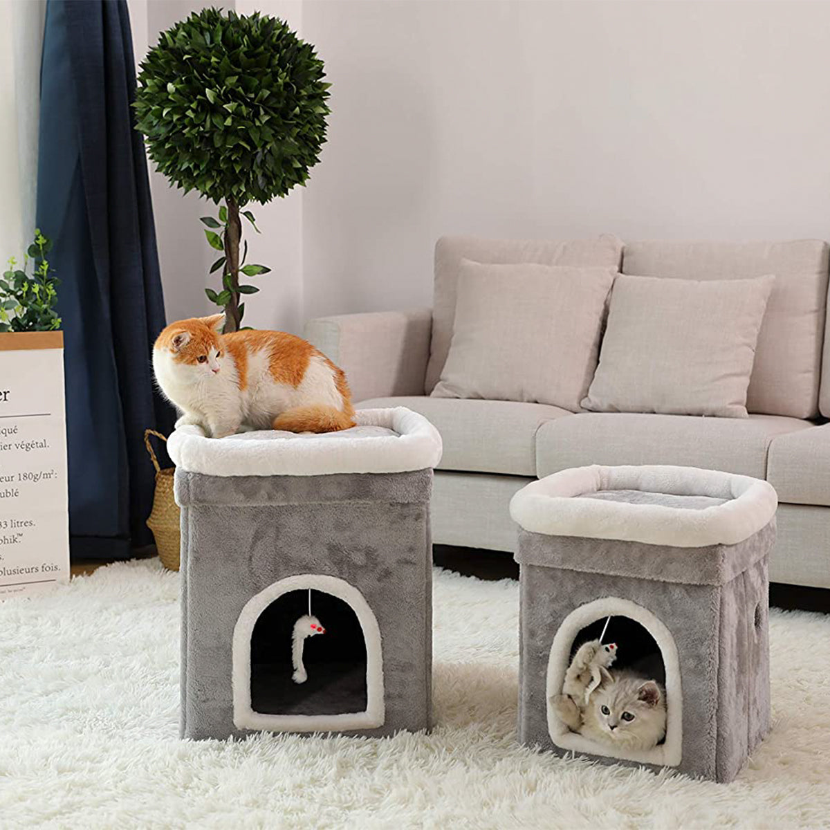Casa / Cama para gatos