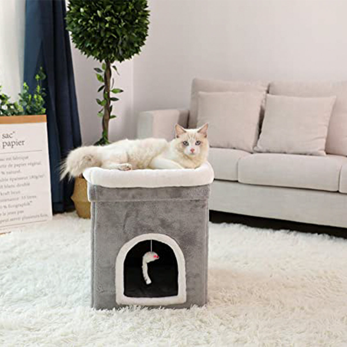 Casa / Cama para gatos