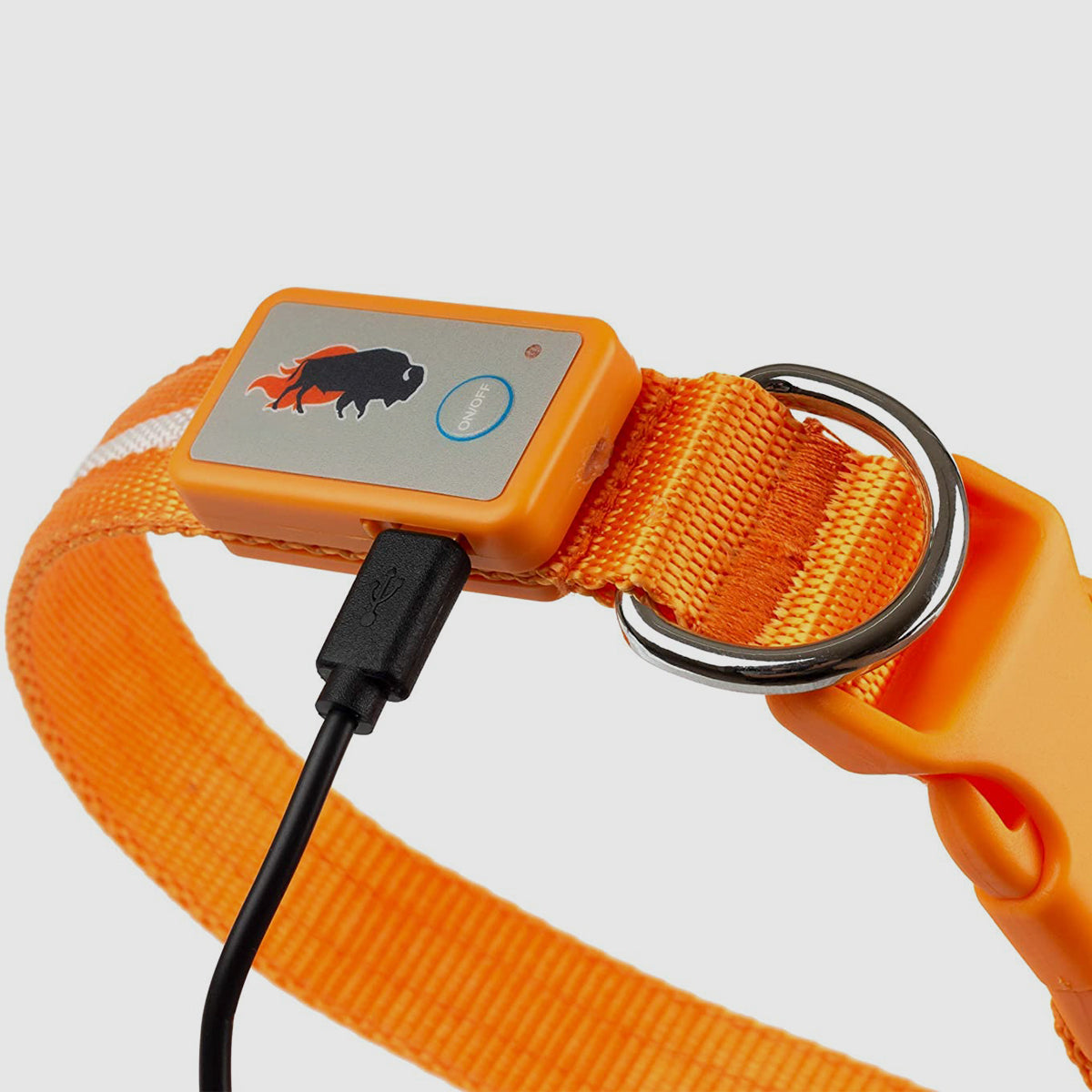Correas con Luz LED