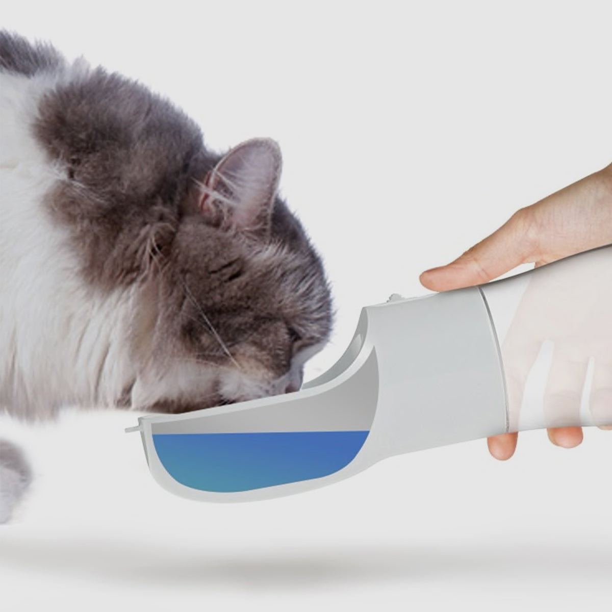 Dispensador portátil de agua y alimento
