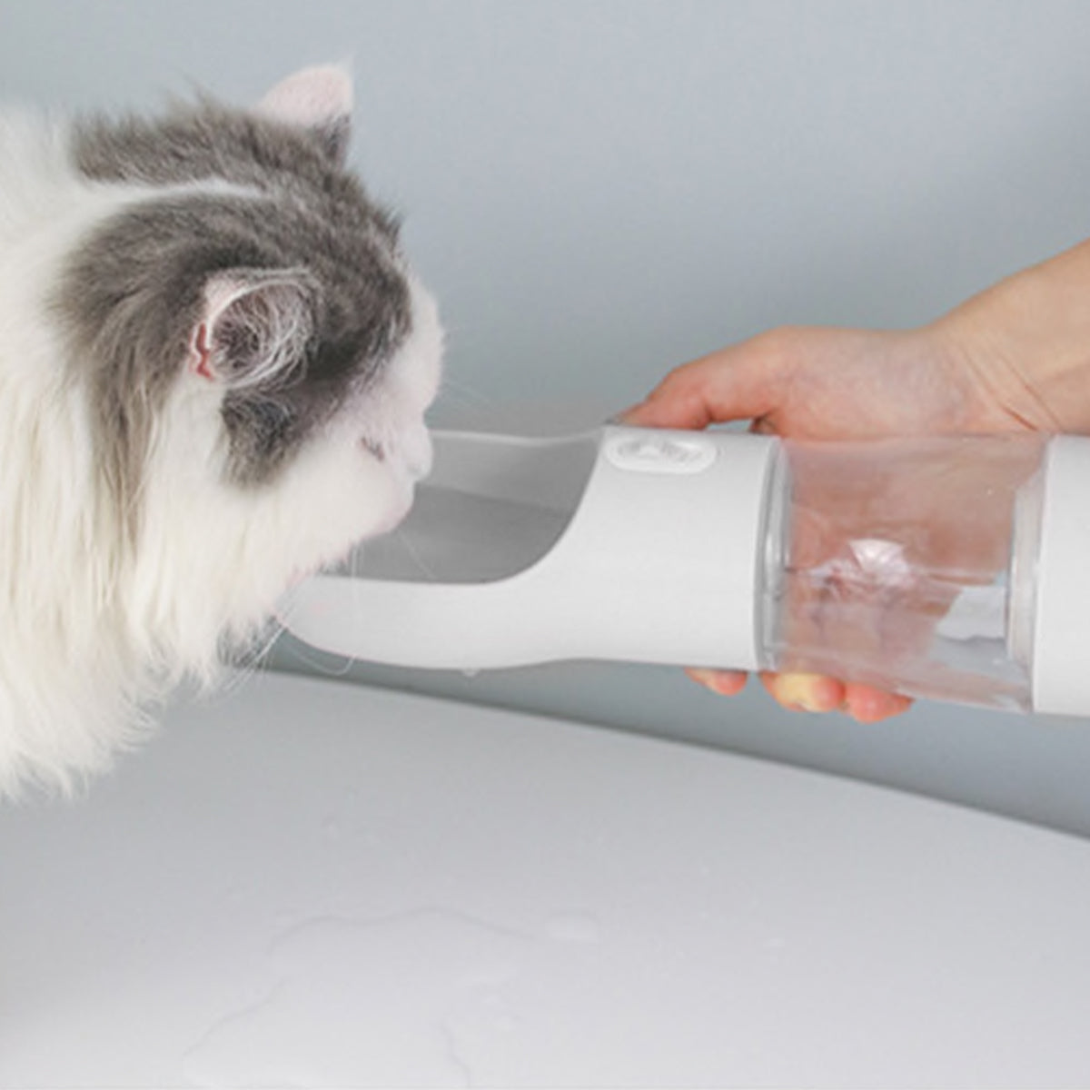 Dispensador portátil de agua y alimento