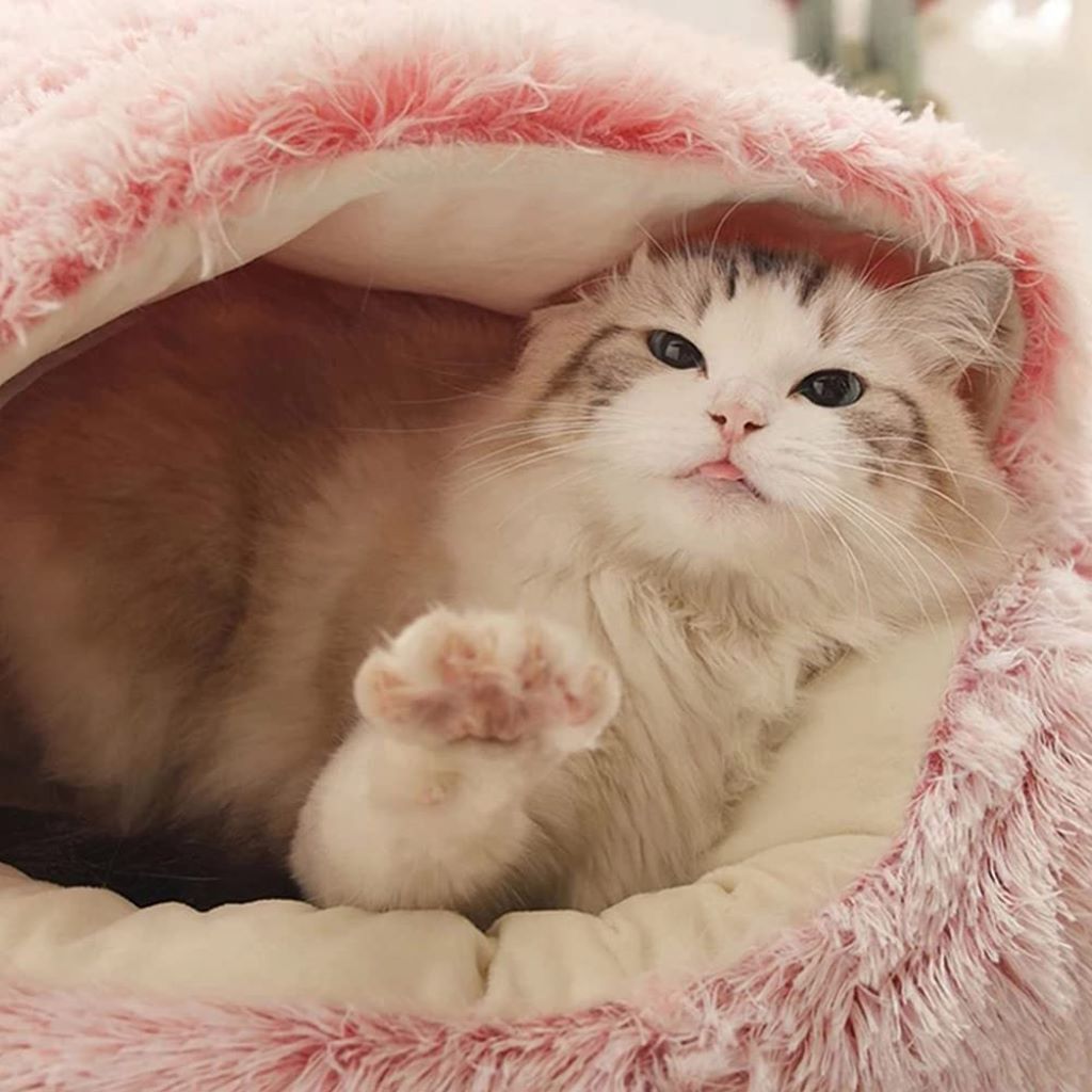 Cama redonda para mascotas con interior esponjoso calmante