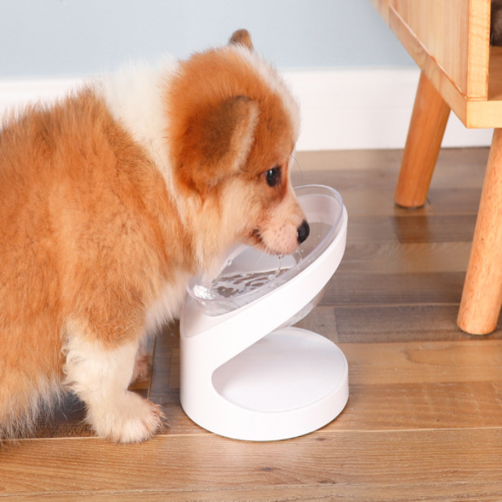 Comedero para mascotas con inclinación